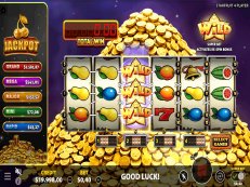 gokkast Starfruit 4 Player multiplayer